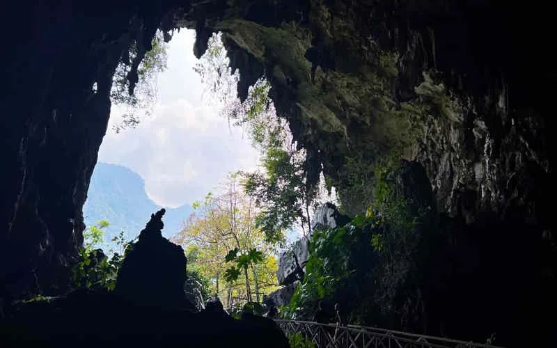 Cueva de las Lechuzas en Tingo María