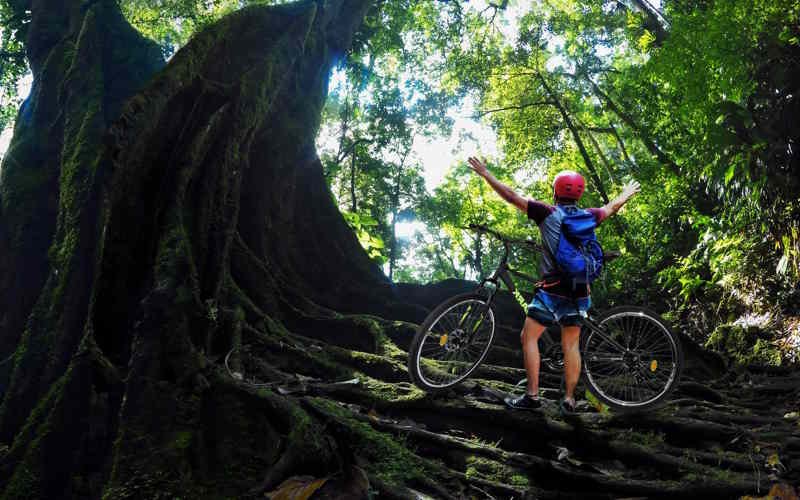 Tour en bicicleta por la selva de Tingo María