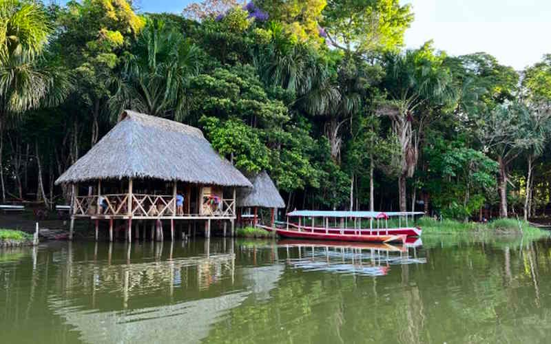 Laguna de los Milagros, Paraíso de la selva