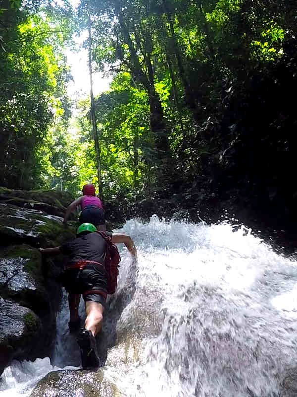 Tours Full Day en Tingo María en el Velo de las Ninfas de la selva