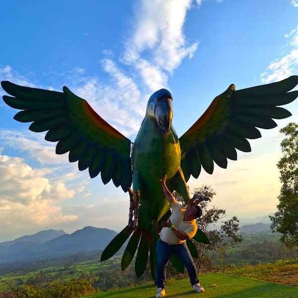 Loro en la Laguna de los Milagros