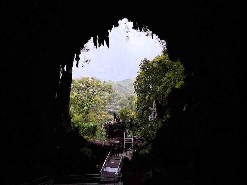 Cueva de las Lechuzas de Tingo María Viaja y explora la selva en la Cueva de las Lechuzas de Tingo María