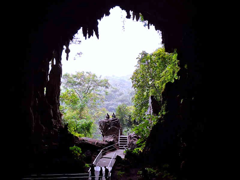 Tour Full Day Parque Nacional Tingo María Cueva de las Lechuzas