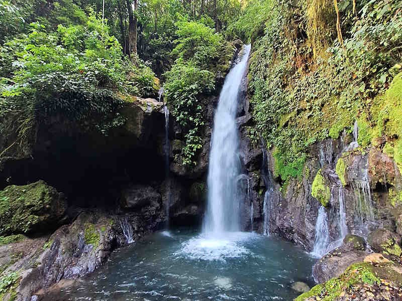 Viaje en Fiestas Patrias a la Selva de Tingo María con Jungla Birds tu Agencia de Viajes y Turismo