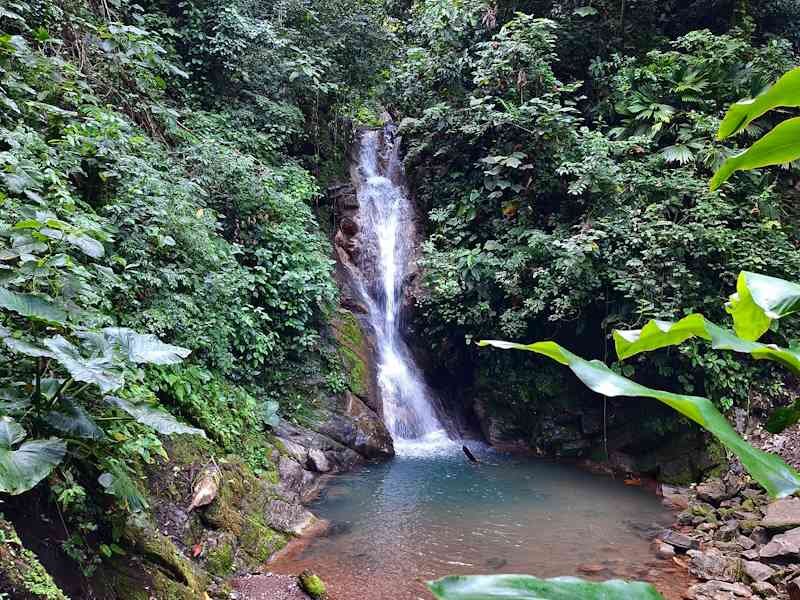 Tour Full Day Catarata Velo de las Ninfas de Tingo María