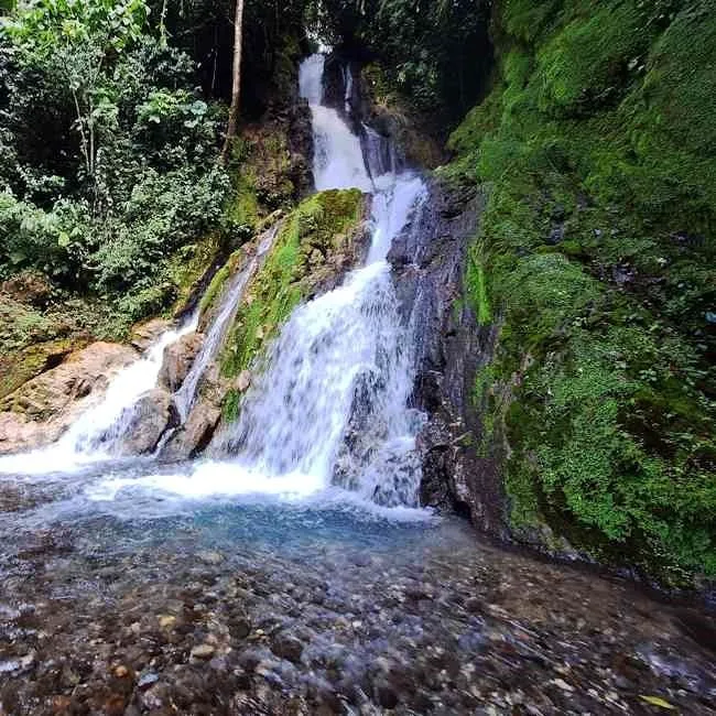 Tingo María paraíso del Chullachaqui de la selva