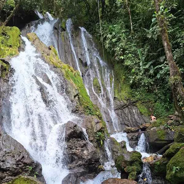 Tingo María Paraíso de Aventuras de la selva en las Cataratas de Honolulu