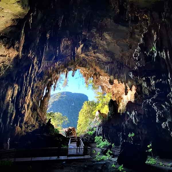 Viaje de aventura a la Cueva de las Lechuzas del Parque Nacional Tingo María