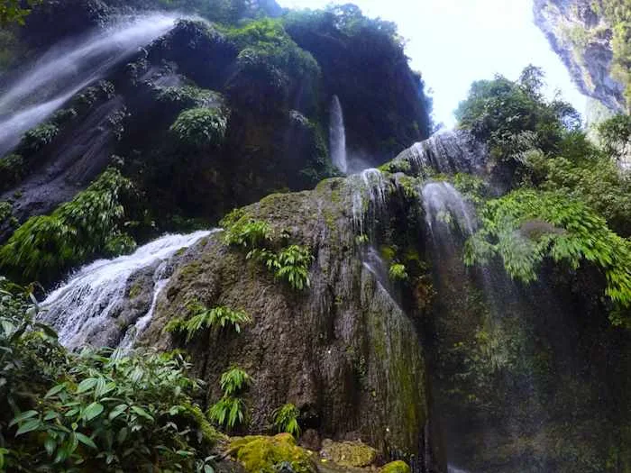 Selva de Cataratas del Rio Derrepente