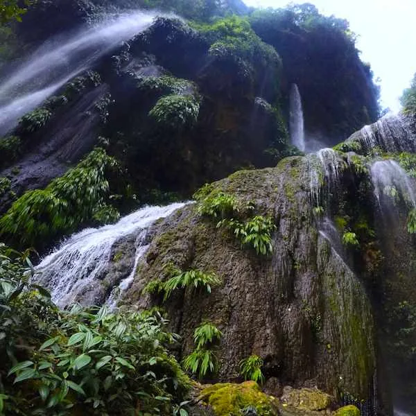 Cataratas en la ruta del Rio Derrepente de Tingo María Selva de Cataratas en la ruta del Rio Derrepente de Tingo María
