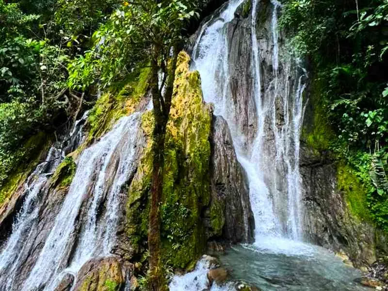 Selva de Cataratas de Honolulu y Chullachaqui de Tingo María Selva de Cataratas de Honolulu y Chullachaqui de Tingo María