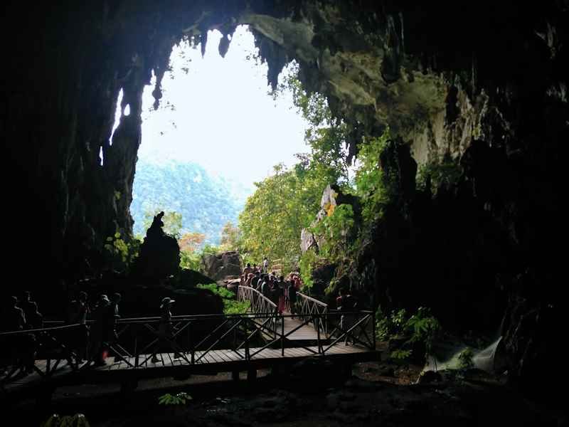 La Cueva de las Lechuzas del Parque Nacional Tingo María Agencia de Viajes y Turismo Jungla Birds de la Selva