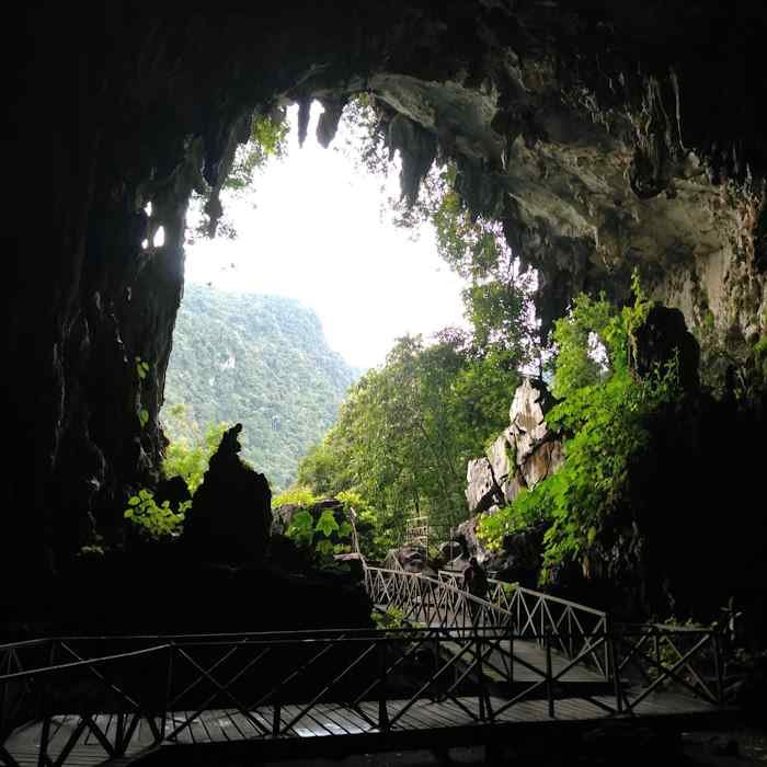 Cueva de las Lechuzas con el Tours Bella Durmiente Paraíso de la Selva de Tingo María