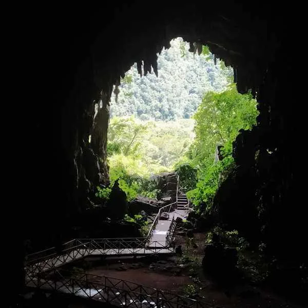 Tours Tingo María Cueva de las Lechuzas  y cascadas Santa Carmen
