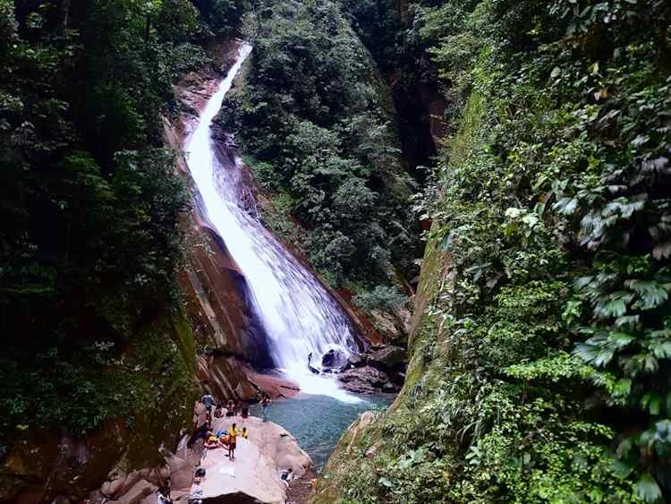 Paquete Turístico Tingo María y Ucayali<br />
Paraíso del Chullachaqui