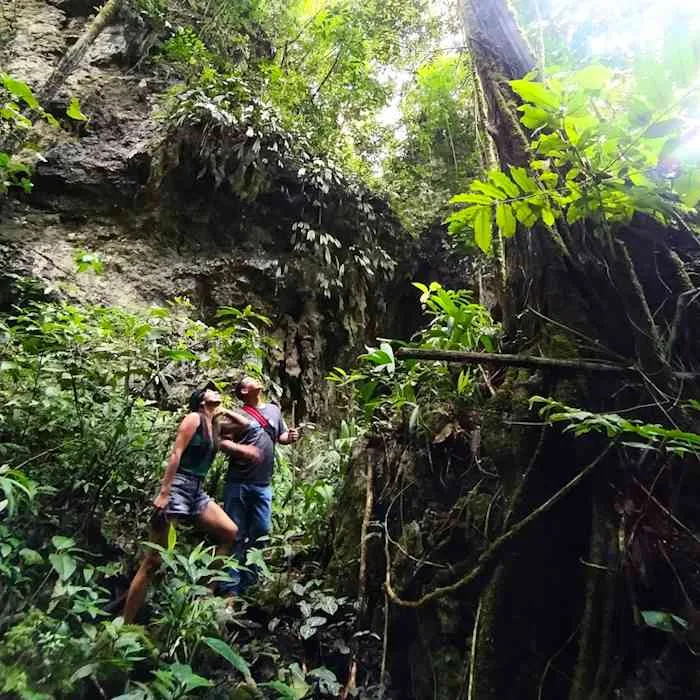 Viaja y explora la selva y Parque Nacional Tingo María Viaja y explora la selva y Parque Nacional Tingo María Tingo María