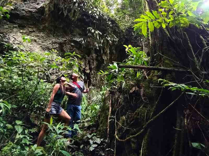 Tour Parque Nacional Tingo María