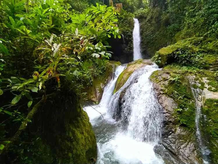 Tour Fiestas Patrias a la Catarata Gloriapata del Parque nacional Tingo María Tour Fiestas Patrias a la Catarata Gloriapata del Parque nacional Tingo María
