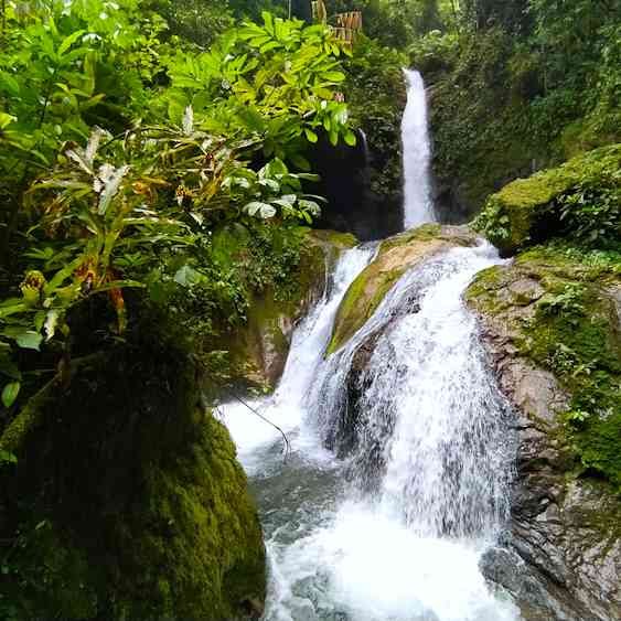 Paquete turístico Bella Durmiente Paraíso de la Selva - Catarata Gloriapata