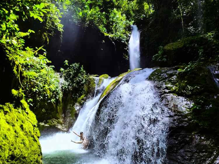 Tours Full Day Parque nacional Tingo María en la Catarata Gloriapata con Jungla Birds Agencia de Viajes y Turismo