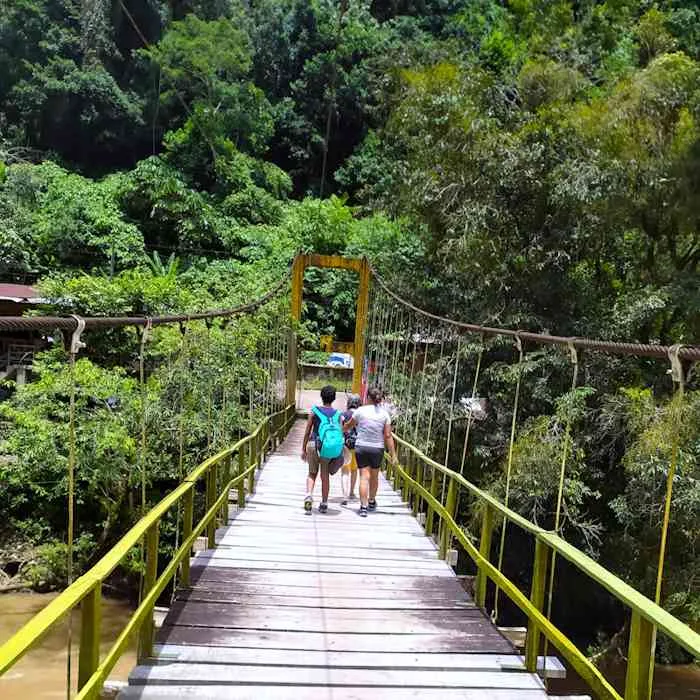 Viaja y explora la Selva de Tingo María y Ucayali Viaja y explora la Selva de Tingo María y Ucayali