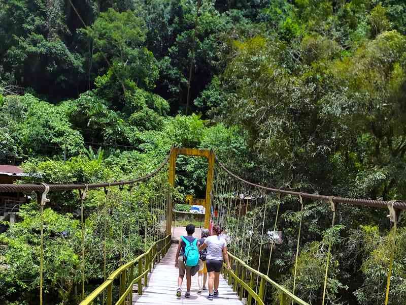 Puente 3 de Mayo del Parque Nacional Tingo María