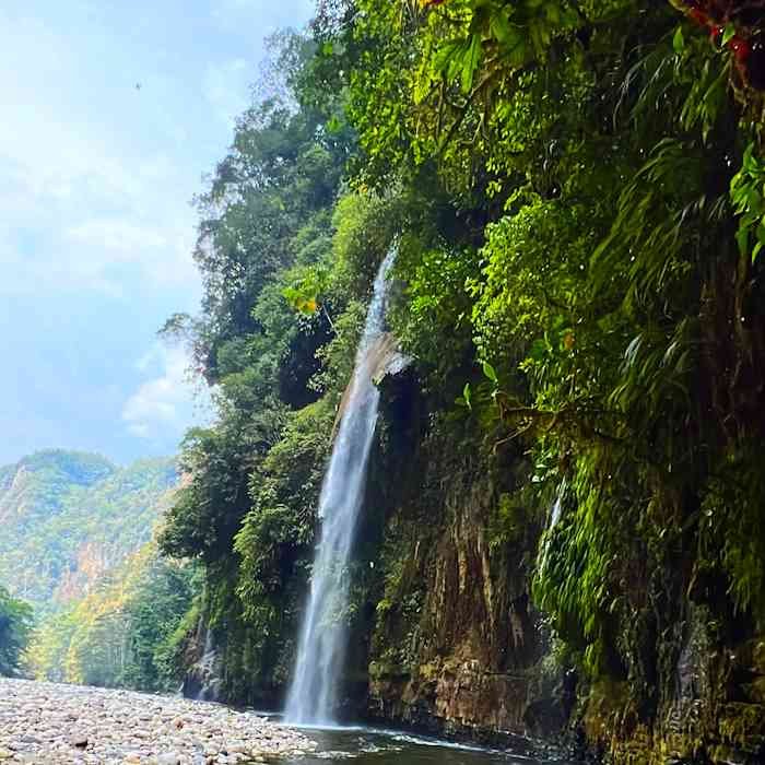 Selva de Cataratas en Tingo María