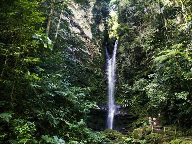 Tarapoto catarata ahushiyacu