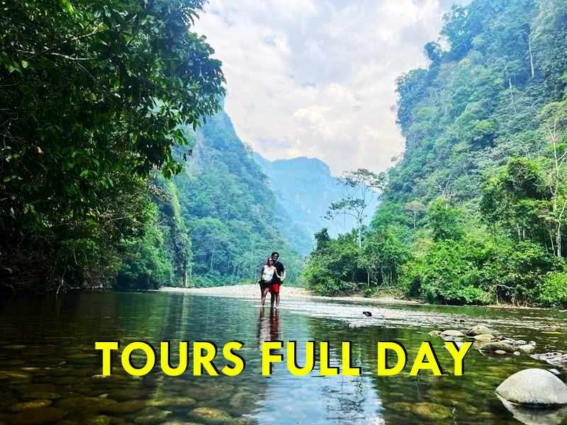 Tours Full Day Tingo María Paraíso de la Selva Agencia de Viajes y Turismo Jungla Birds