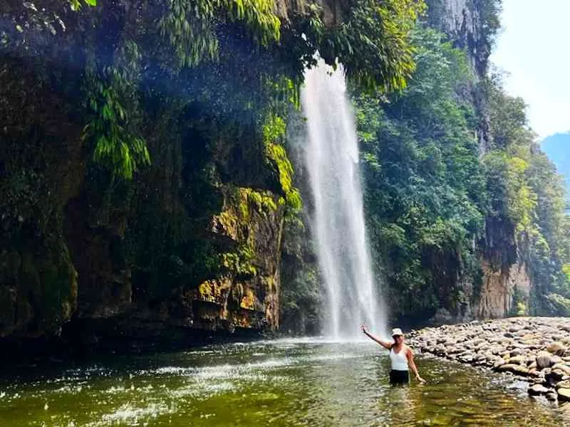 Selva de Cataratas en la ruta del Rio Derrepente de Tingo María