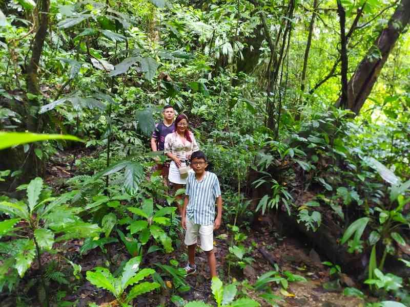 Paquete Turístico Viaje de Aventura a Tingo María y selva