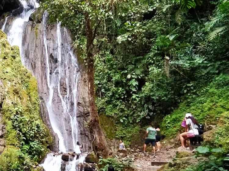 Paquete Turístico Tours Bella Durmiente Paraíso de la Selva