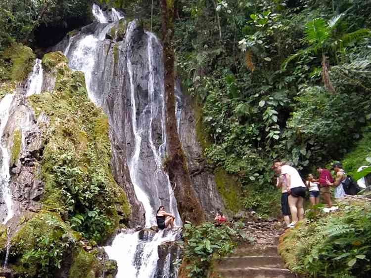 Paquete Turístico Vacaciones en un Destino Exótico de la Selva de Tingo María