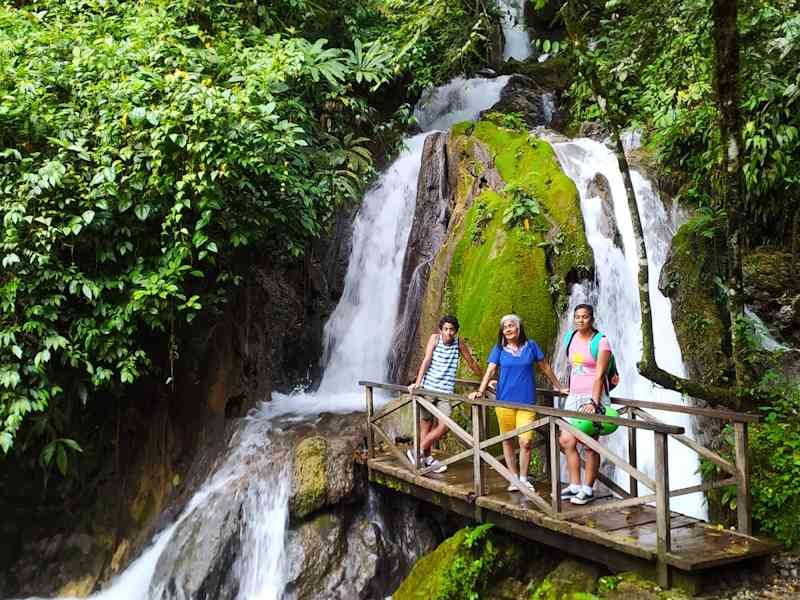 Tours Full Day Cataratas de Honolulu y Cueva de las Lechuzas de Tingo María