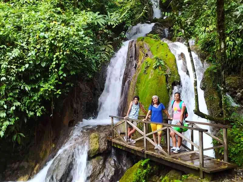 Tours Full Day Cataratas de Honolulu y Cueva de las Lechuzas de Tingo María