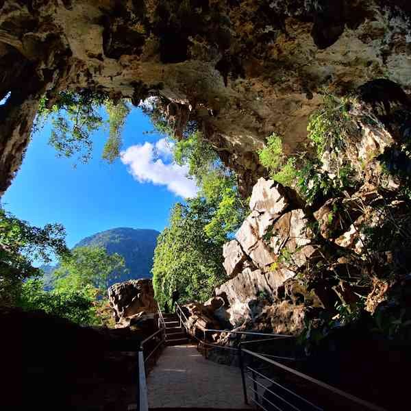 Tours Cataratas de Honolulu y Cueva de las Lechuzas de Tingo María