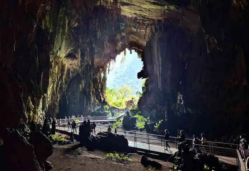 Cueva de la Lechuzas del Parque nacional Tingo Maria Tours Full Day Parque Nacional Tingo Maria en la Cueva de la Lechuzas del