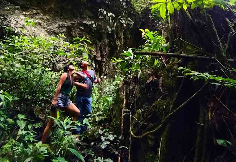 Semana Santa Selva Tingo María Perú