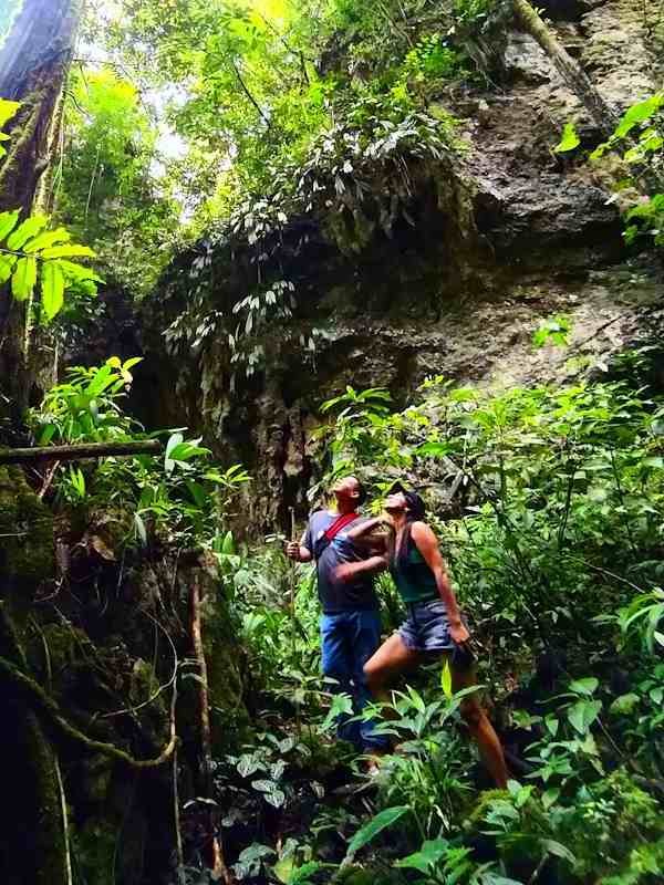 Tours Selva y Aventura Semana Santa Tingo María Tours Selva y Aventura Semana Santa Tingo María